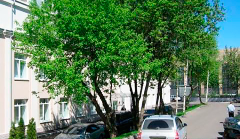 Продажа офиса в Москве. Возле метро Шелепиха. Москва г, Магистральная 2-я ул, д 8Ас2. Площадь: 3452.80 кв.м. Цена: 431 600 000 руб